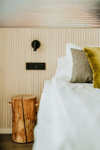 referenssit/bomba/Jarvisiipi-yksityiskohtakuva--Break-Sokos-Hotel-Bomba-25